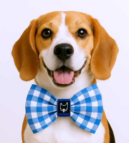 Blue tie