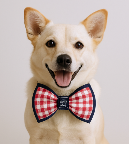 Dog pink